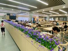 -金陵中学(河西分校)