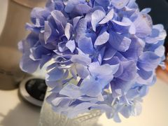 -伊斯坦布尔土耳其清真咖啡餐厅