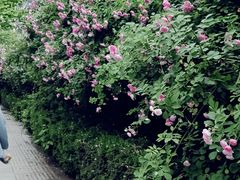 -合肥三国新城遗址公园