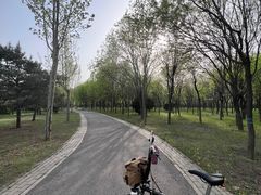 -东郊湿地公园