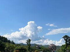 -森波拉奇妙世界