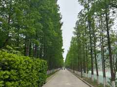 -黄河小浪底水利枢纽风景区