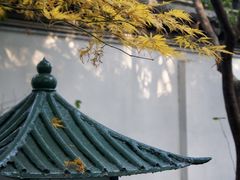 -秋霞圃