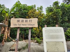 -南丫岛