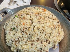 -蘑统田下·野生菌火锅