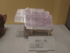 -湖南省地质博物馆