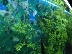-中国湿地博物馆