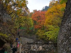 -北京上方山国家森林公园