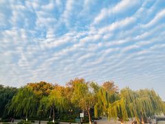 -济南大明湖景区
