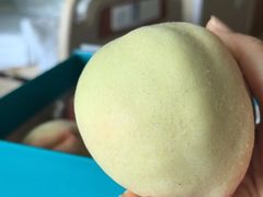 -老袁家蜜桃农场·阳山水蜜桃