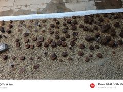 -元代水闸遗址博物馆