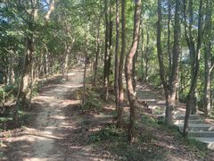 -梧桐山风景名胜区