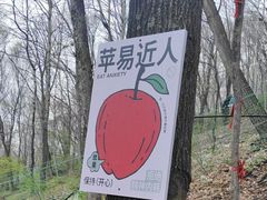 -帽儿山风景区