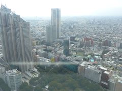 -东京都厅舍