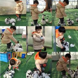 -萌宠亲子动物乐园(槐房万达店)