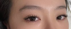 -丽尔美睫