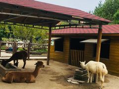 -北京市海淀外国语实验学校