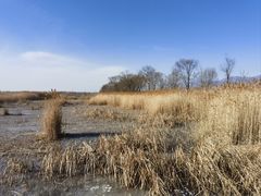 -野鸭湖国家湿地公园