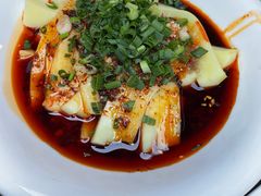 -龙翔山庄雷鸡肉(青城后山泰安古镇店)