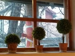 长颈鹿咖啡(大学路店)-长颈鹿咖啡(大学路店)