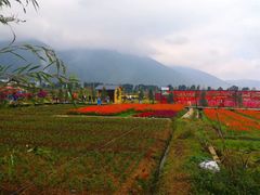 -小普陀