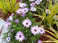 -衡山路(地铁站)