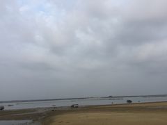 -北海金海湾红树林生态旅游区