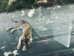 -西安秦岭野生动物园