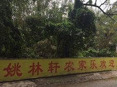 -姚林轩