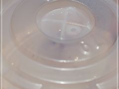 -尹兰楼西北风情餐厅(嘉定店)