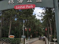 -林海公园