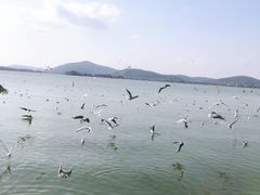 -蠡湖大桥公园
