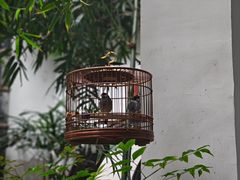 -31号公馆(黄兴广场白果园店)