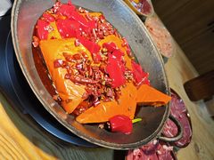 -阳阳老火锅(小南门店)