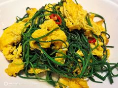 -巴依老爷新疆美食(常营店)