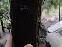 -灵栖洞天