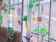 -大王油茶(磁器口店)