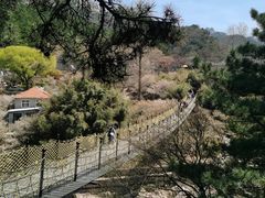 -崂山九水游览区