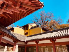 -灵谷景区