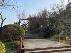 -上海海湾国家森林公园