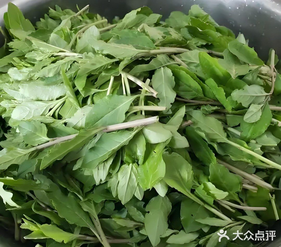 舌尖上的春日精灵——枸杞头