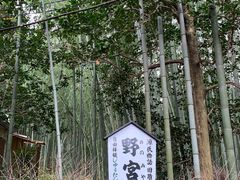 -野宫神社