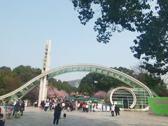 -南山植物园