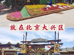 -呀路古热带植物园