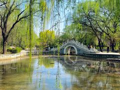 -洛阳市隋唐城遗址植物园