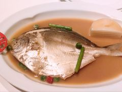 -新荣记(金融街店)