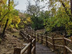 -白水寺森林公园