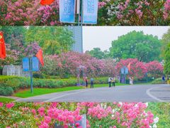 -杭州城北体育公园