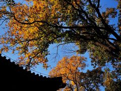 -香山公园