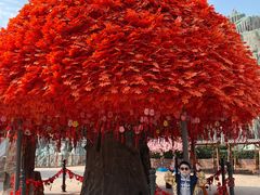 -郑州方特梦幻王国